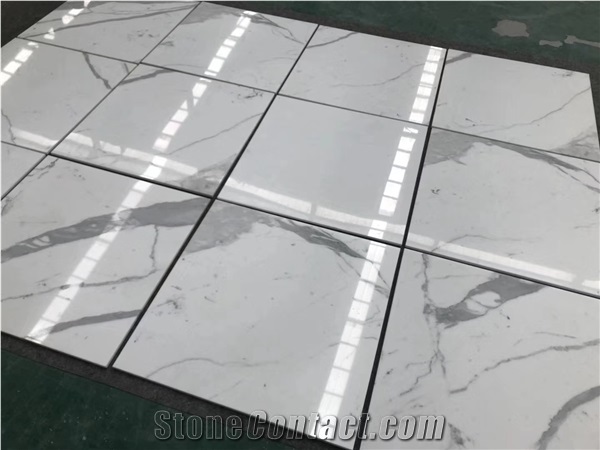 Calacatta/ Statuario /Statuary White Marble Tiles