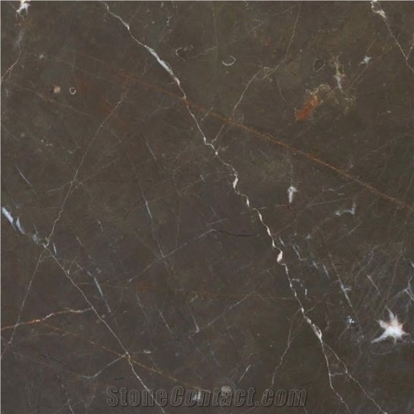 Armani Brown Marble Slabs Tiles for Flooring