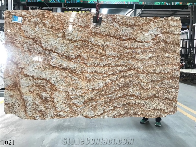 Brazil Tropical Gold Granite Slab Tile for Countertop