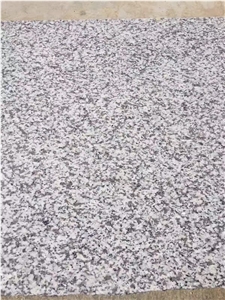 China Jilin White Granite Flooring Tile