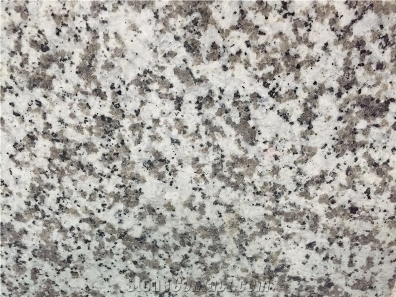 G640 Luna Pearl Granite for Countertops