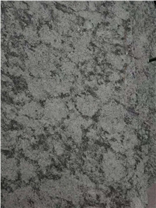 High-Quality Verde Springbok Granite