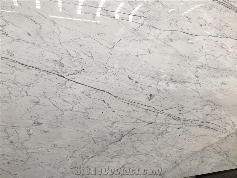 Interior Decoration Materials Italian Statuario Marble
