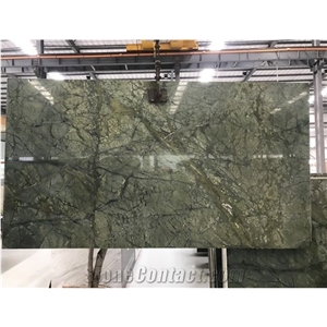 Peacock Rain Forest Marble Green Slabs Tiles Wall