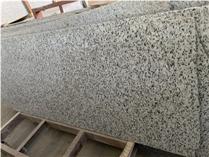 Polished Egypt White Granite Slabs