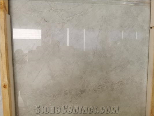 Stellar White Marble Polished Slabs & Tiles