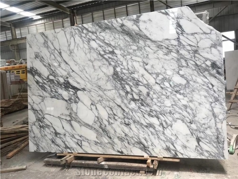 White Marble Slabs Wall Covering Arabescato Marble