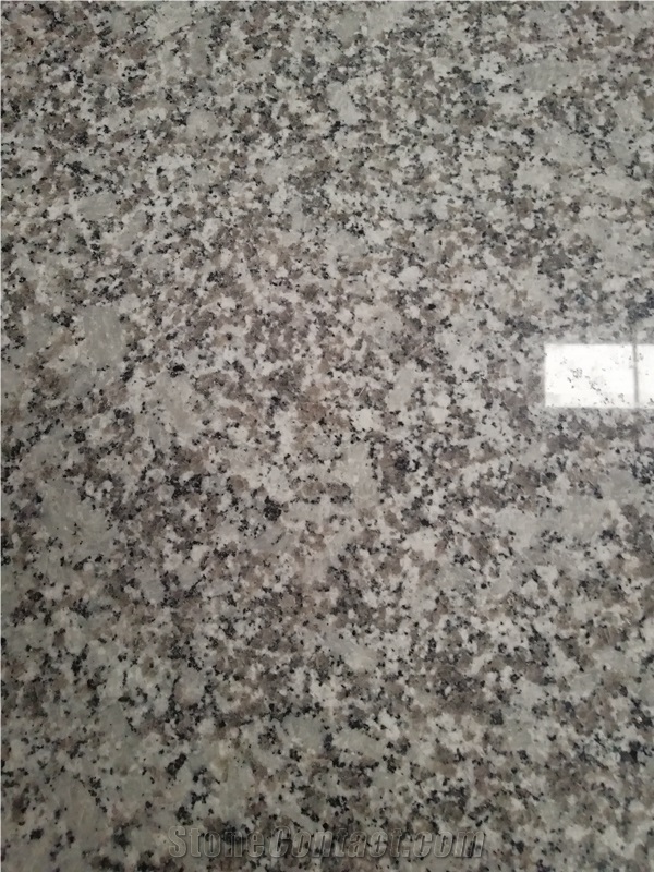 China Bala White Granite Kitchen Countertop
