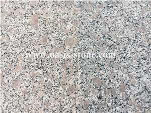 G383 Coffee Brown Granite for Floor/Wall/Kitchen