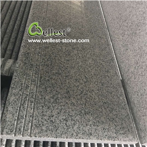Polished Bullnose G603 White Granite Stairs