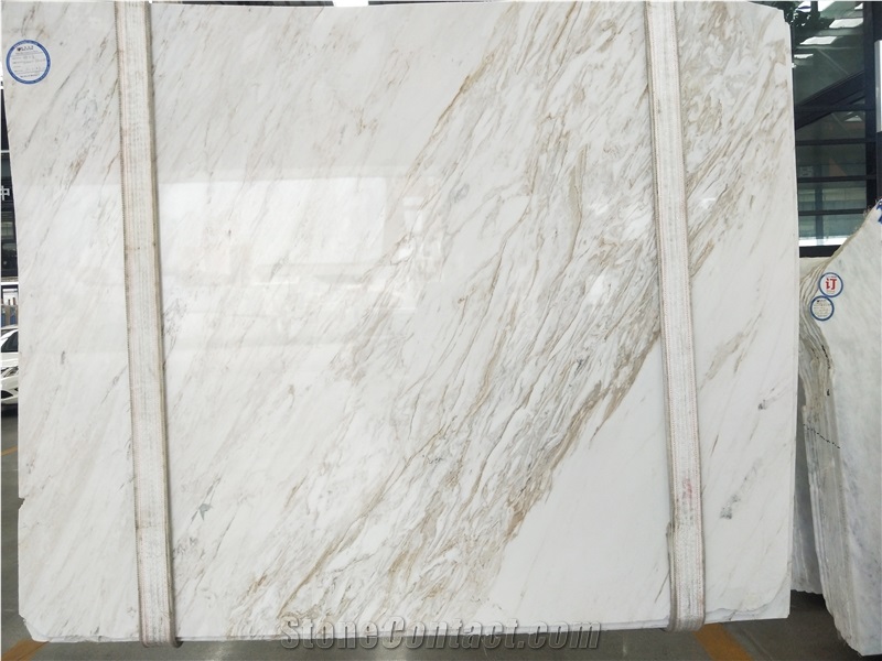 China Calacatta Gold Bianco Delicato Marble Slab