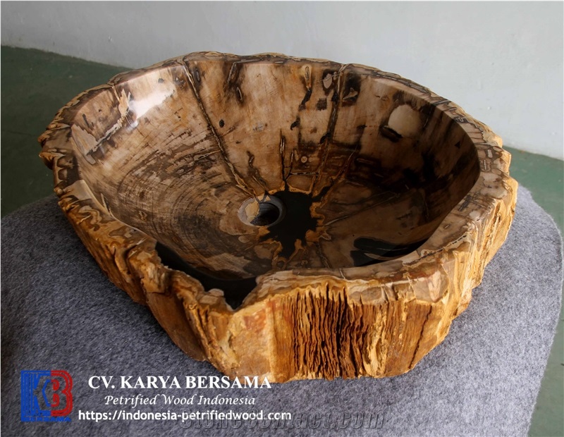 Petrified Wood Sink