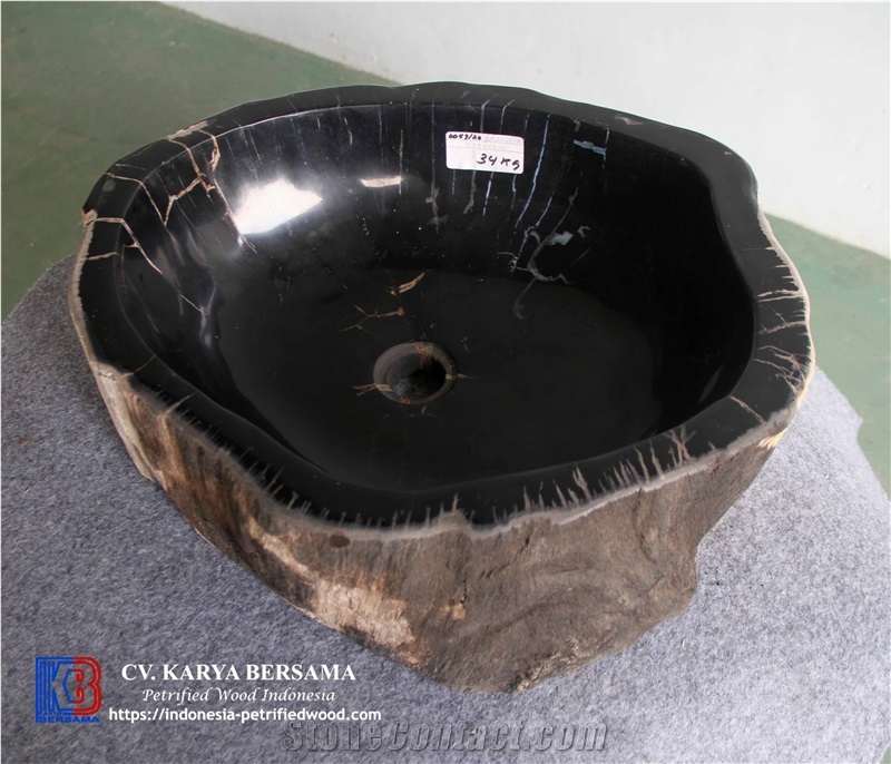 Petrified Wood Sink