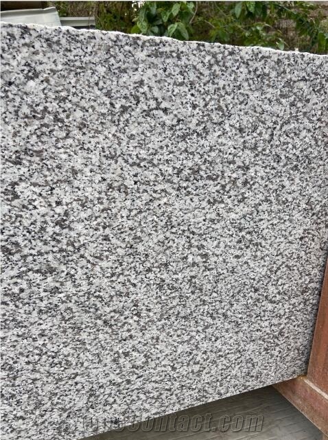 New G439 Blanco Taupe Granite Tiles