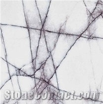 Milas Lilac Marble from Turkey
