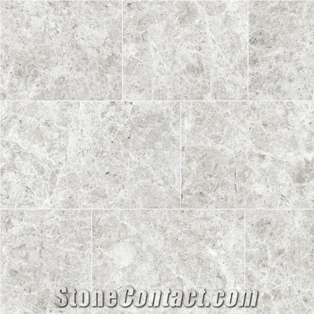 Silver Shadow Marble Tiles & Slabs from Turkey