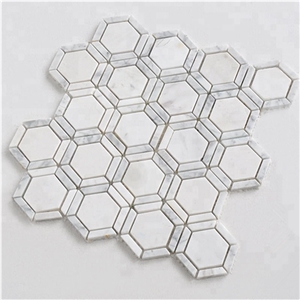 Italy Carrara White Marble Hexagon Mosaic for Wall