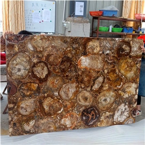 Luxury Brown Petrified Wood Stone Gemstone Wall Panels