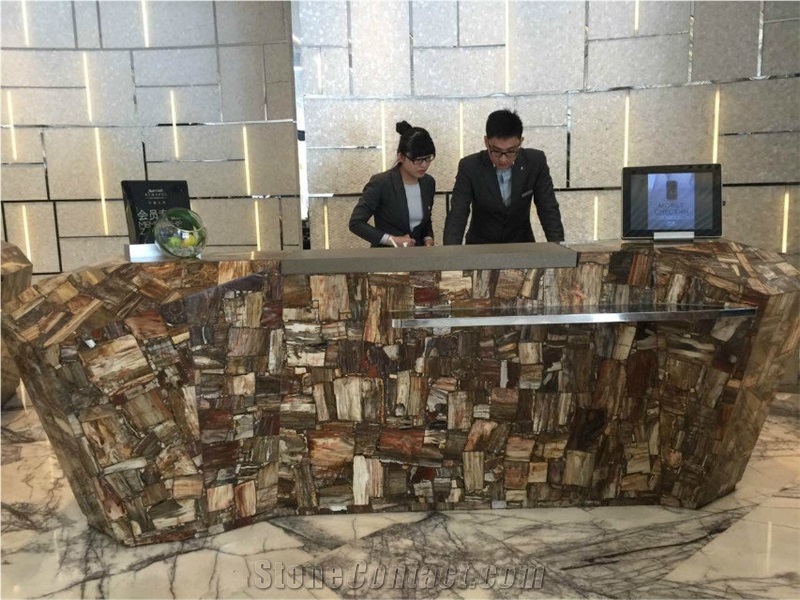 Luxury Table Top Petrified Wood Countertop