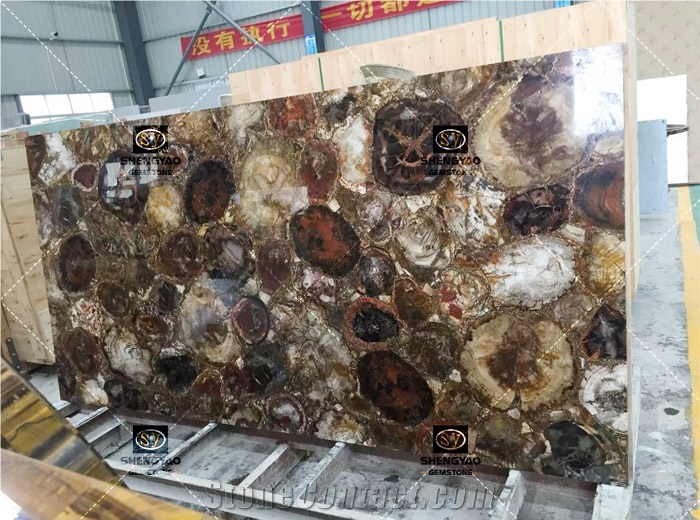 Natural Petrified Wood Slab for Sale