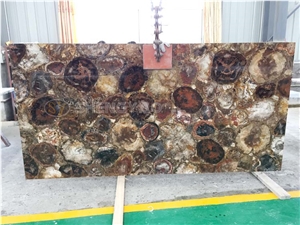 Natural Petrified Wood Slab for Sale