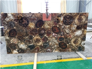 Petrified Wood Fossil Stone Panel