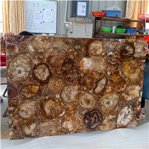 Petrified Wood Semi Precious Stone Panels