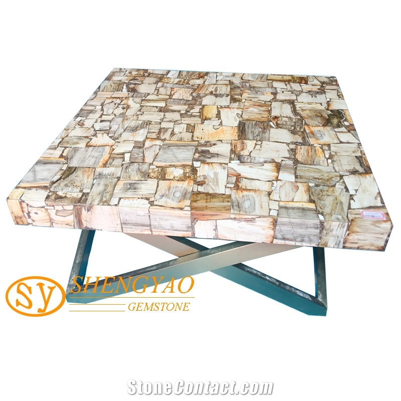 Petrified Wood Slab Gemstone Table Top