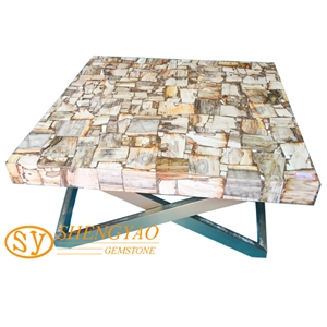 Petrified Wood Slab Gemstone Table Top