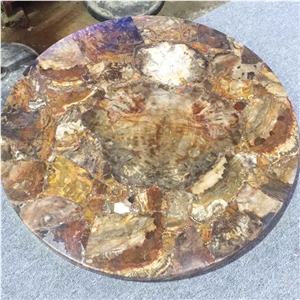 Petrified Wood Slab Gemstone Table Top