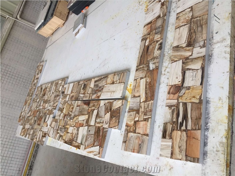 Petrified Wood Stone Cut to Size Tiles