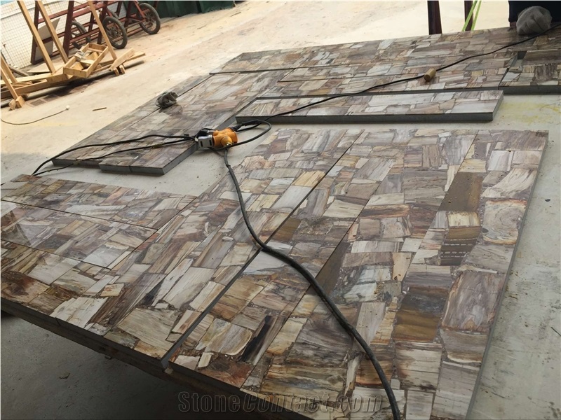 Petrified Wood Stone Cut to Size Tiles