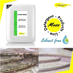 Clean Moss Cleaner for Removing Moss and Algae from Floors, Stone Façades, Monuments, Statues