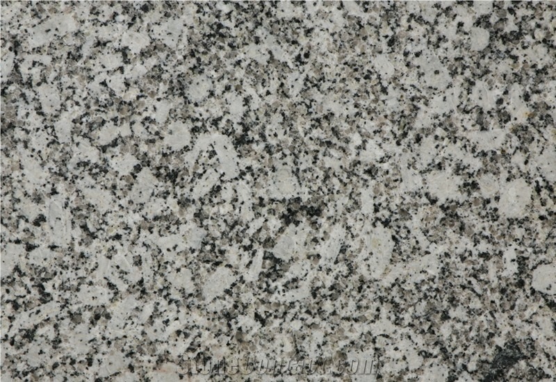 Pearl White Granite from India - StoneContact.com