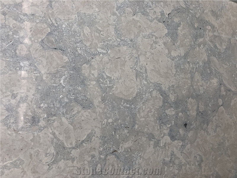 Polished Portugal Grey Marble Slabs&Tiles