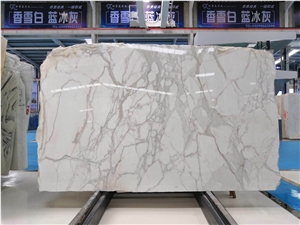 Calacatta Marina Marble Versailes Pattern