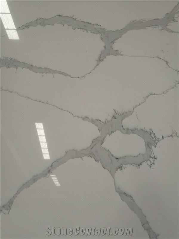 Calacatte White Quartz Wall Application Tiles