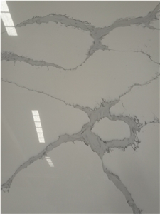 Calacatte White Quartz Wall Application Tiles