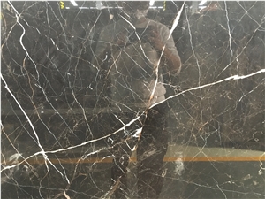 China Classic Brown Marble Slabs & Tiles