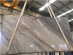 China Palissandro Marble Slab