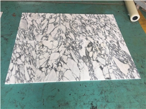 Marmo Arabescato D"Carrara Marble Floor Tiles