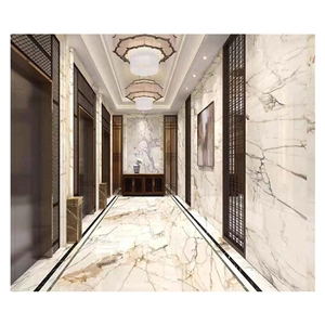 Polished Calacatta Oro White Marble for Decoration