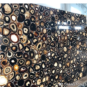 Translucent Polished Brown Agate Semiprecious Stone Wall Panel