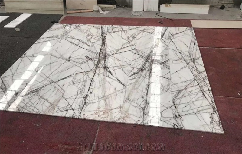 Turkish Iceberg White Marble Walling Floor Slabs