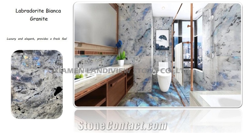 Prefab Countertop Luxury Labradorite White Granite
