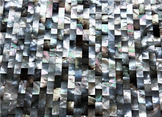 Mother Of Pearl Shell Mosaic Tile Black and White