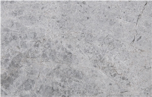Tundra Gray Marble Tiles, Slab