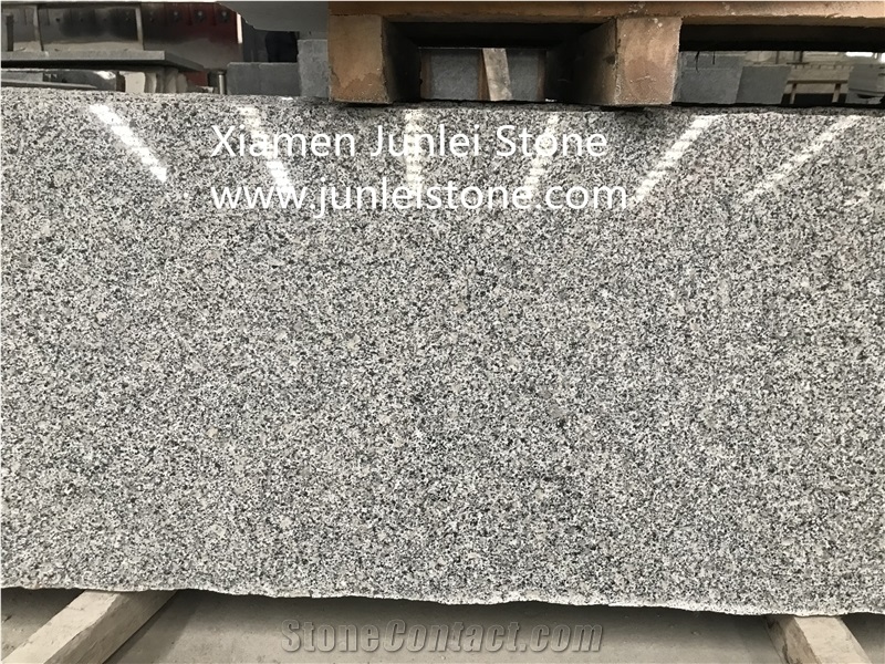 Grey Granite / Light Gray Granite / Cheap Granite