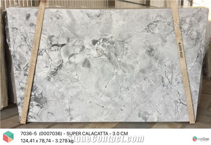 Super White Calacatta Quartzite Slab from India - StoneContact.com