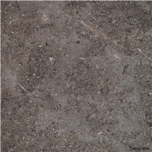 Dark Grey Triesta Limestone Tiles, Slabs